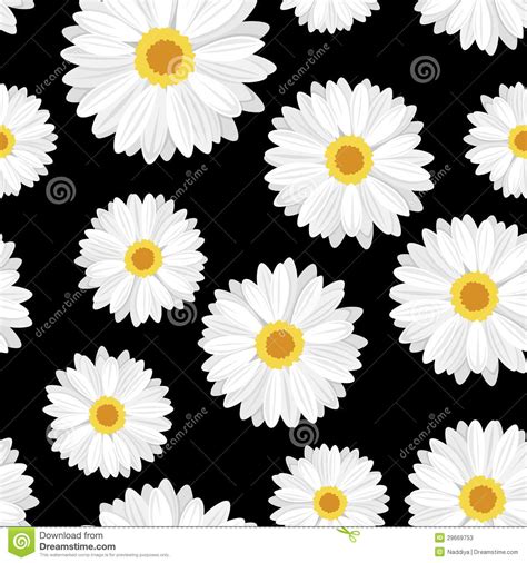 Black and White Daisy Wallpaper - WallpaperSafari