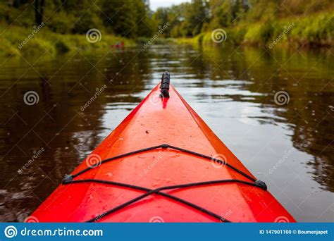 Kayaking, Canoeing on the River in the Middle of the Summer. Stock Photo - Image of grass, park ...