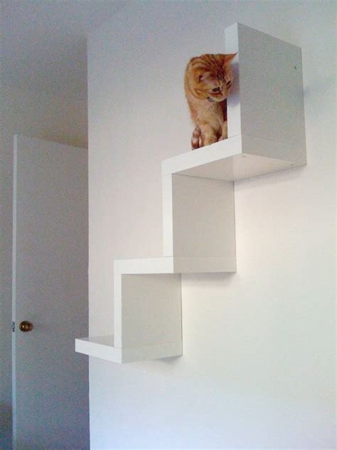 Cat wall stairs - IKEA LACK hack? | Cats | Pinterest | Ikea lack hack, Lack hack and Cat