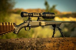 6 Best Night Vision Scopes for Coyote Hunting [2024 Reviews] - Optics Mag