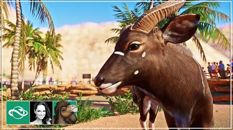 🐫 Nyala Habitat | Desert Franchise Mode | Planet Zoo | Ep. 3 | - YouTube