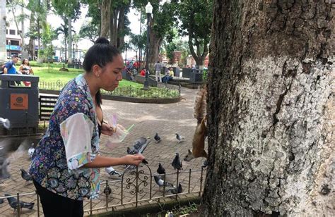 Feeding the Squirrels At Alajuela Central Park | Q COSTA RICA