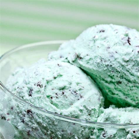 Homemade Mint Chocolate Chip Ice Cream | Chew Out Loud