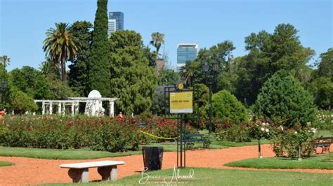 An Expat's Guide to the Best Parks in Buenos Aires - Becci Abroad