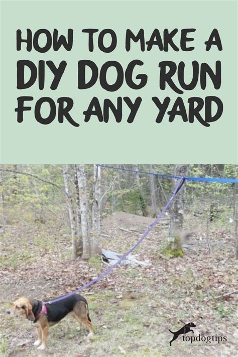 How To Make A DIY Dog Run | Diy dog run, Diy dog stuff, Dog runs