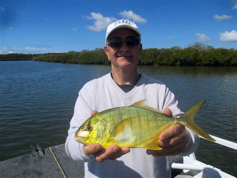 Noosa River Weekly Fishing Report - O Boat Hire