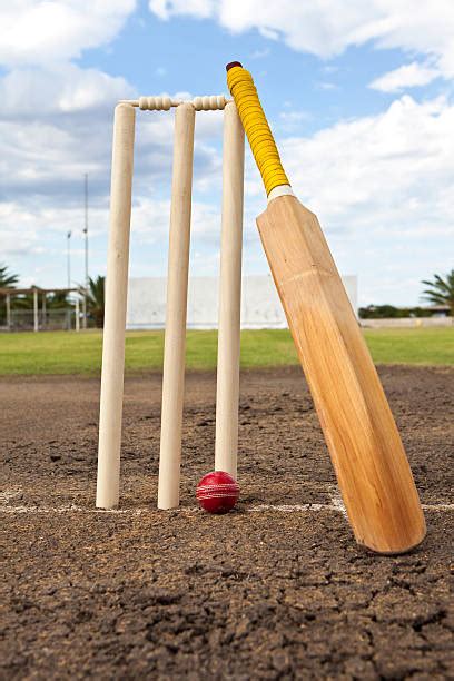 Cricket Bat Pictures, Images and Stock Photos - iStock