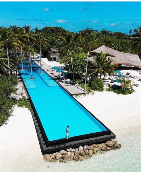 The longest infinity pool in maldives | Pool, Maldives, Big swimming pools