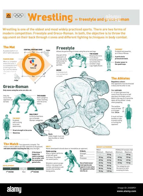 Infographics about freestyle and Greco-Roman wrestling: techniques and basic rules. [Adobe ...