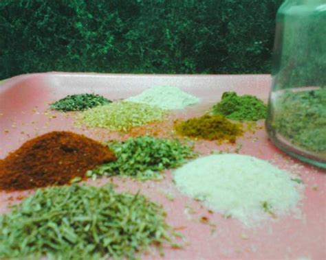 Herb Salt Substitute Recipe - Food.com