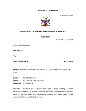 Fillable Online 11 - NAMIBIA SUPERIOR COURTS Fax Email Print - pdfFiller