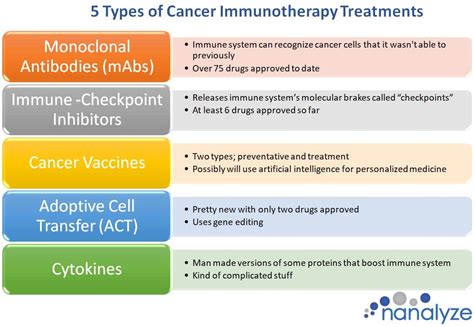 An Introduction to Cancer Immunotherapy Treatments - Nanalyze