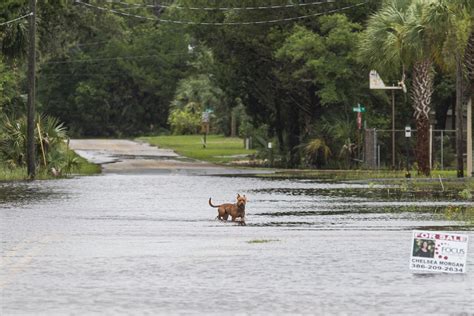 Tropical Storm Elsa pounds East Coast after killing 1 in Florida - The ...