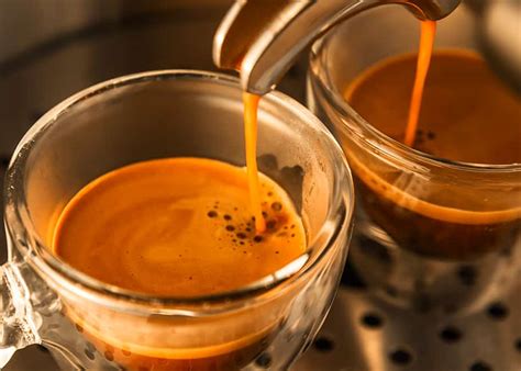 What is Robusta Coffee? Robusta vs Arabica: 12 Differences | EnjoyJava