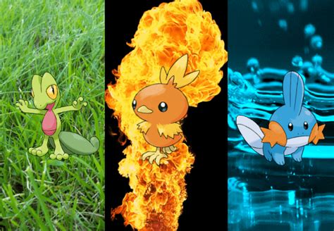 Which Is The Best Starter Pokemon For Emerald | PokemonCoders