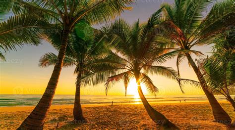 Silueta de palmeras de coco en la playa al atardecer o al amanecer cielo 3191780 Foto de stock ...