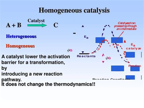 PPT - Homogeneous catalysis PowerPoint Presentation, free download - ID:9163967