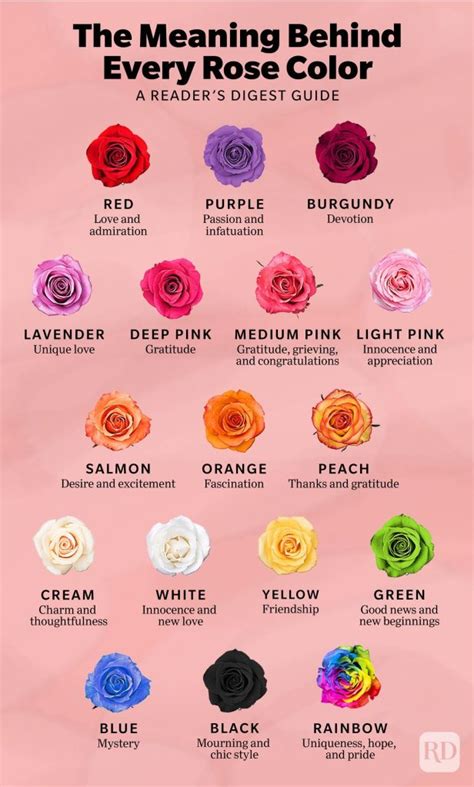 Meaning of the color of roses: what do you mean? - Complete Gardering