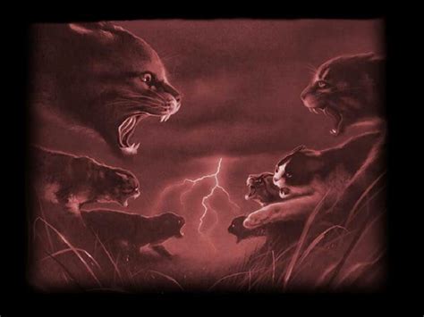 Which warrior cat are you from the journey?