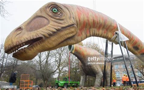 Seismosaurus Photos and Premium High Res Pictures - Getty Images