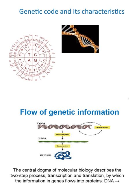 Geneticcode | PDF | Genetic Code | Nucleic Acid Sequence