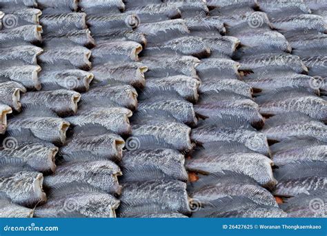 Dry Fish. stock image. Image of retail, fishery, natural - 26427625