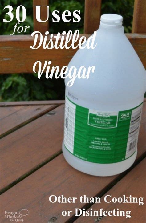 Distilled vinegar - good for so much more then just cooking and disinfecting. Check out these ...