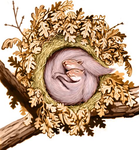 Squirrel nests - The Washington Post