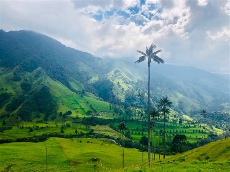 Hiking Cocora Valley: the Top Thing to do in Salento - My Flying Leap