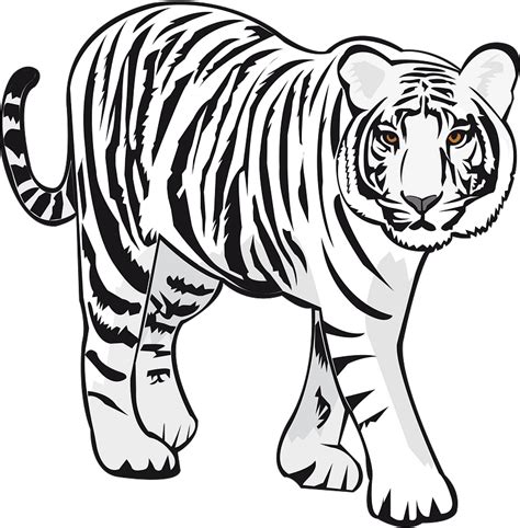 Black And White Tiger Clipart