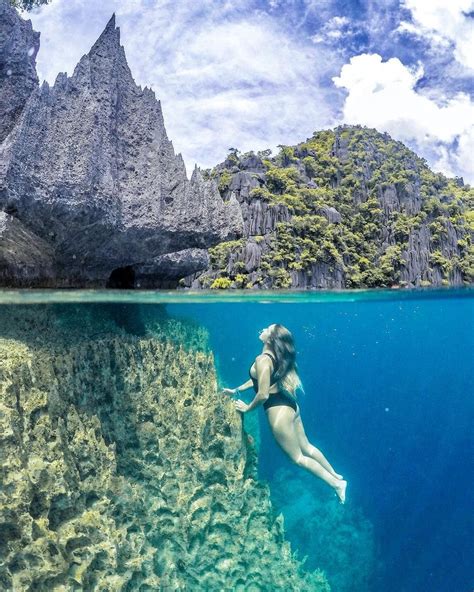 Barracuda Lake Coron Palawan | Coron palawan, Palawan, Coron palawan philippines