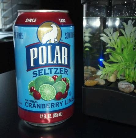 Polar Seltzer Cranberry Lime - Thirsty Dudes