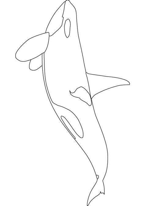 Orca Coloring Pages at GetDrawings | Free download