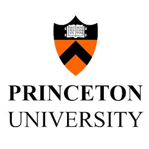 Princeton University logo transparent PNG - StickPNG