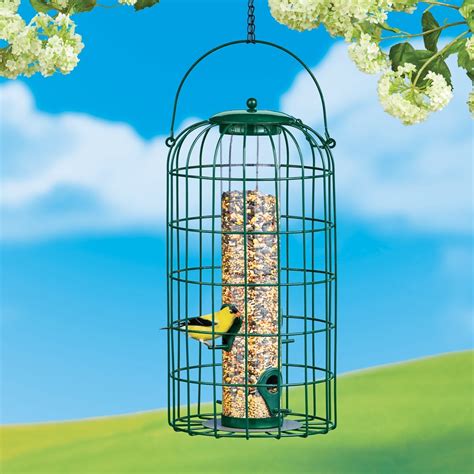 Squirrel Proof Caged Clear Tube Bird Feeder | Collections Etc.