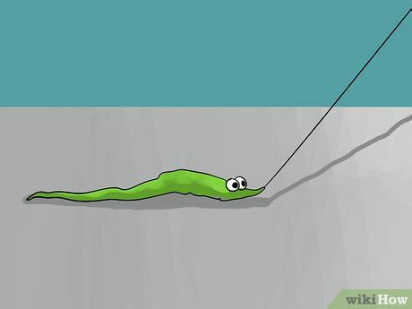 How to Do Tricks with Your Fuzzy Magic Worm (with Pictures)