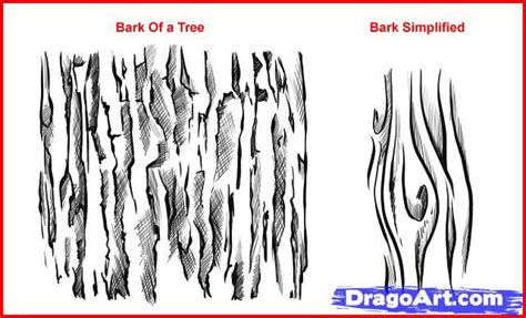 How To Draw Tree Bark - howtojkl