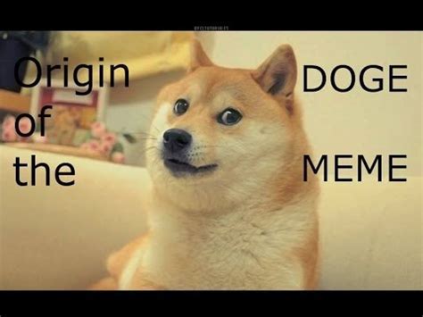 Describe doge. The history and origin of the dog meme explained [Updated Guide]