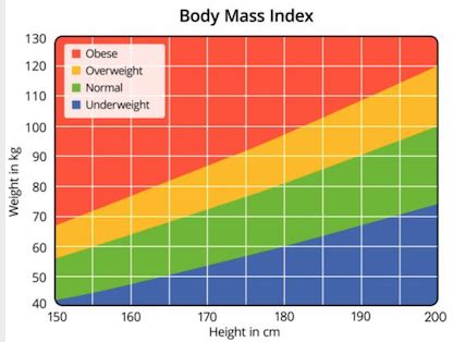 Morbid Obesity | Definition, Causes & Treatment | Study.com