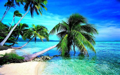 Tropical Beach HD Wallpaper (68+ images)