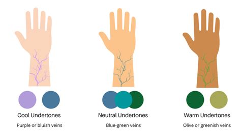 Decoding Undertones: Understanding How Vein Color Can Indicate Your Skin Undertone