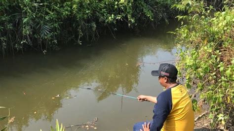 Gambar Orang Mancing Di Sungai – pulp