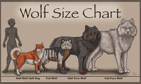 Wolf Size And Weight Chart – Blog Dandk