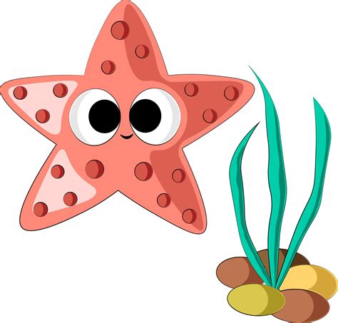 Starfish Drawing For Kids