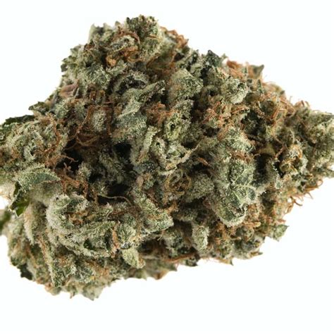 Buy Kosher Kush Seeds Feminized - Available Now