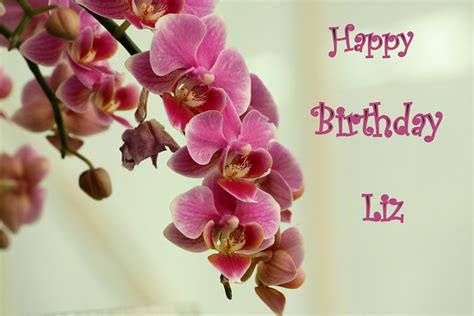 Happy Birthday, Liz | Flickr - Photo Sharing!