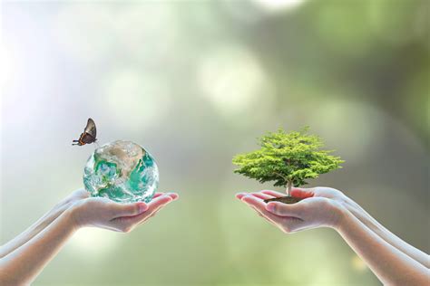 World environment day and go green with csr concept with tree planting on volunteers' hand ...