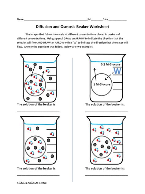 Osmosis and Diffusion Worksheet