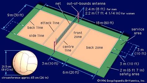 The court dimensions - Volei mania