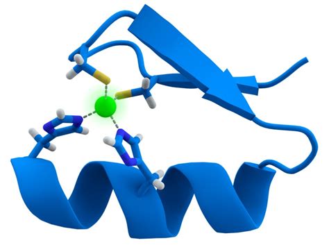 What is the Difference Between Motif and Domain in Protein Structure ...